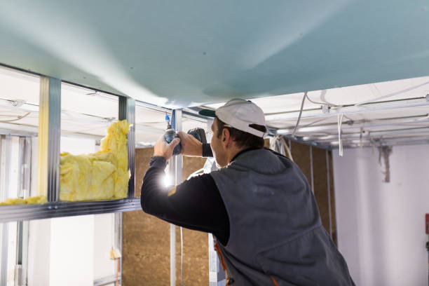 Best Cellulose Insulation  in Washington, MO