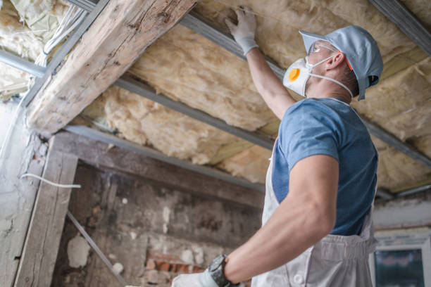 Best Crawl Space Insulation  in Washington, MO