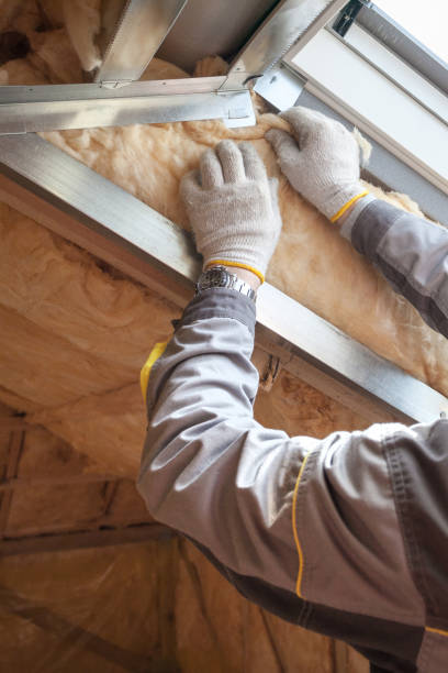 Best Blown-in Insulation  in Washington, MO